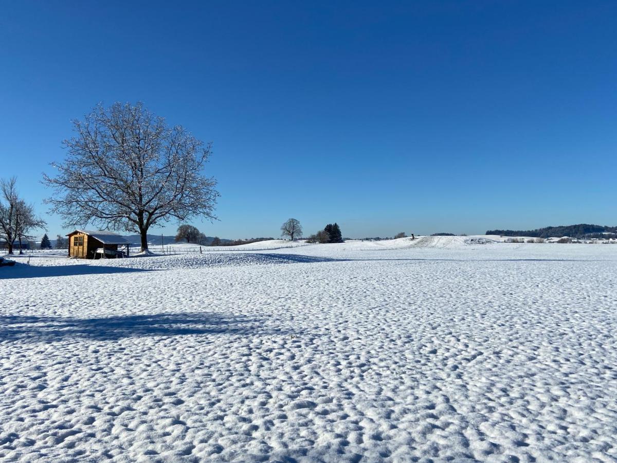 Das Blaue Haus - Ein Sommertraum Und Ein Wintermaerchen Weiler-Simmerberg Buitenkant foto