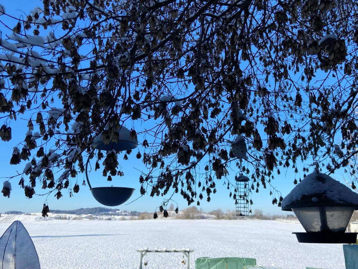 Das Blaue Haus - Ein Sommertraum Und Ein Wintermaerchen Weiler-Simmerberg Buitenkant foto