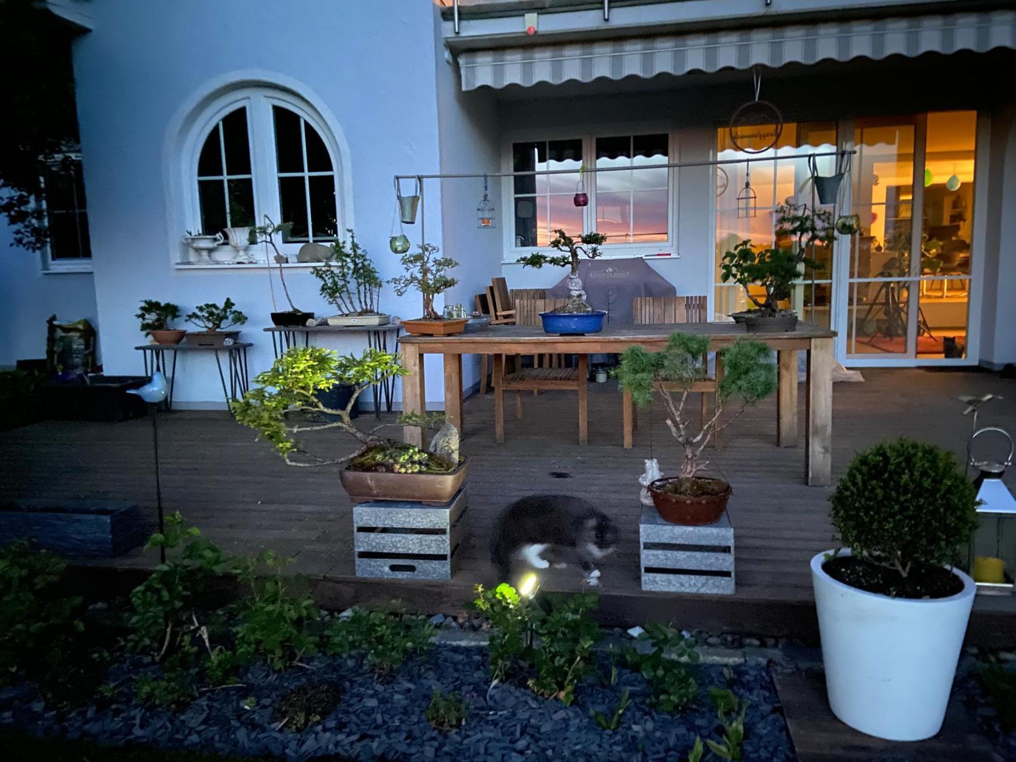 Das Blaue Haus - Ein Sommertraum Und Ein Wintermaerchen Weiler-Simmerberg Buitenkant foto