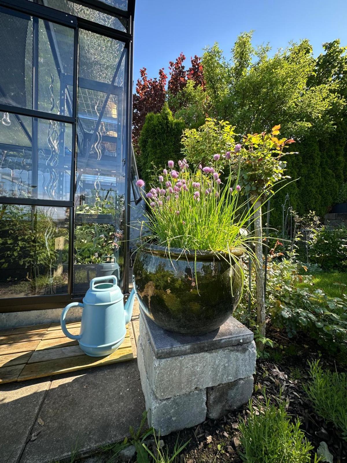 Das Blaue Haus - Ein Sommertraum Und Ein Wintermaerchen Weiler-Simmerberg Buitenkant foto